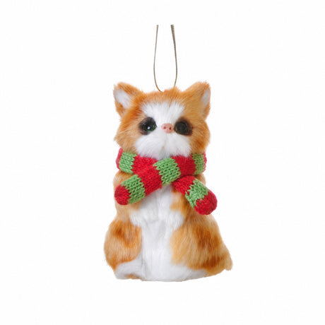 Cat with scarf