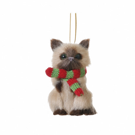 Cat with scarf