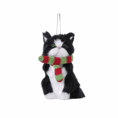 Cat with scarf