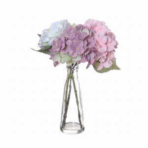 Hydrangea flowers in glass vase