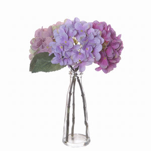 Hydrangea flowers in glass vase
