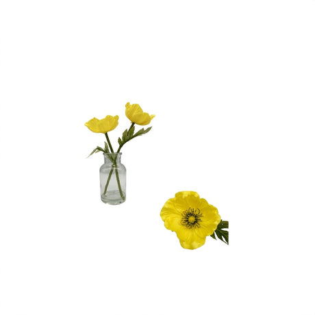 Poppies in a glass vase