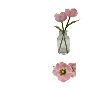 Poppies in a glass vase