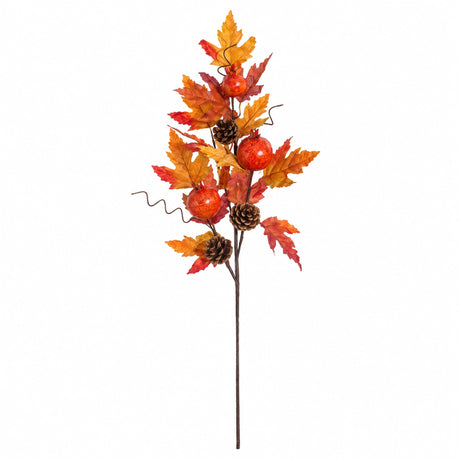 Autumn branch with pine cones and pomegranates