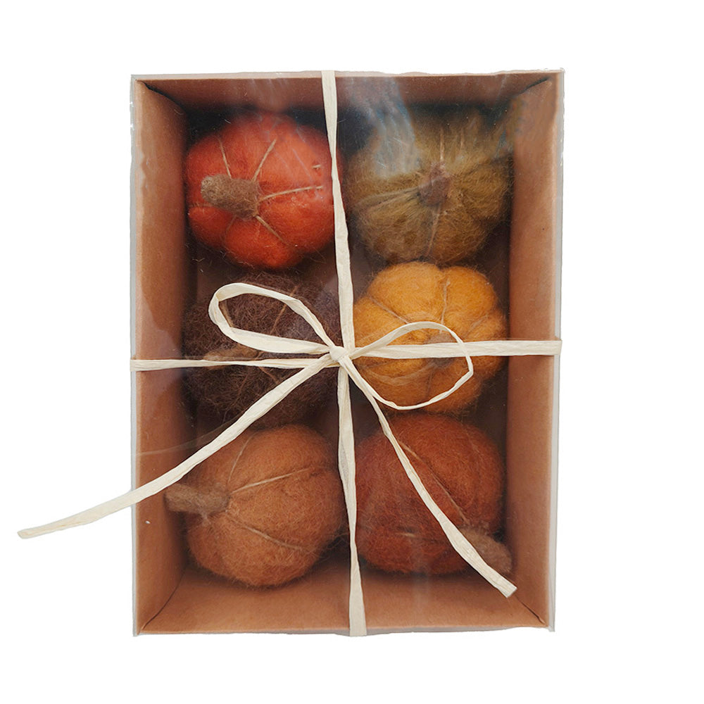 Pumpkins in Box H7cm