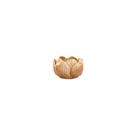 Candlestick flower