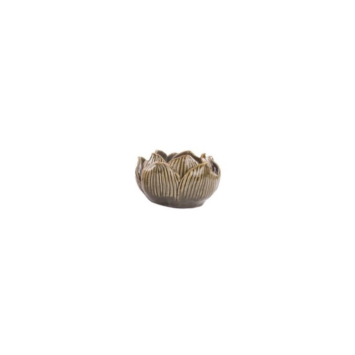 Candlestick flower