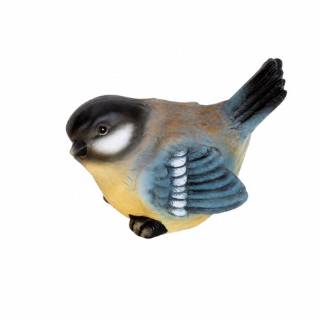 Eurasian blue tit