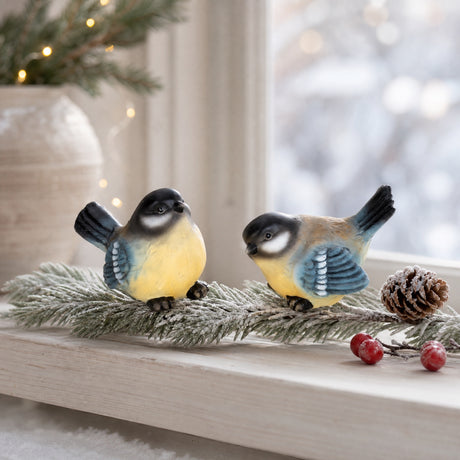 Eurasian blue tit
