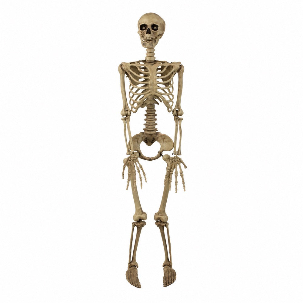 Hanging skeleton, 90 cm high