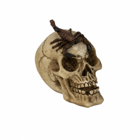 Skull with insects