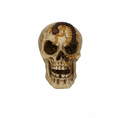 Skull with insects