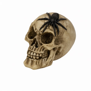 Skull with insects