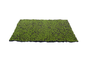 Landscape Moss Mat, Green and Brown