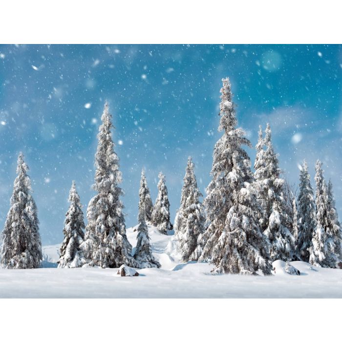 Baggrund med snedækkede graner