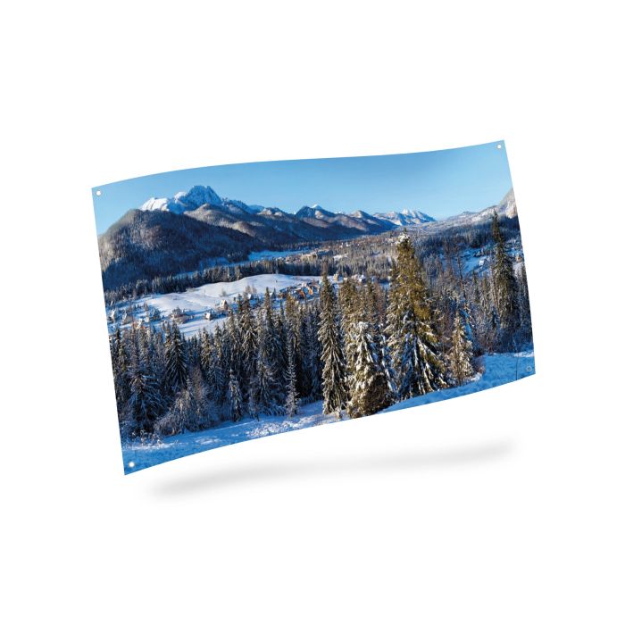 Stor baggrund med vinterby