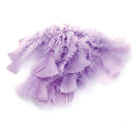 Coloured feathers
