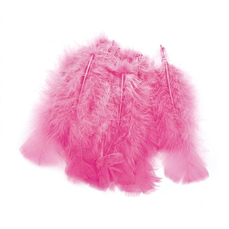 Coloured feathers