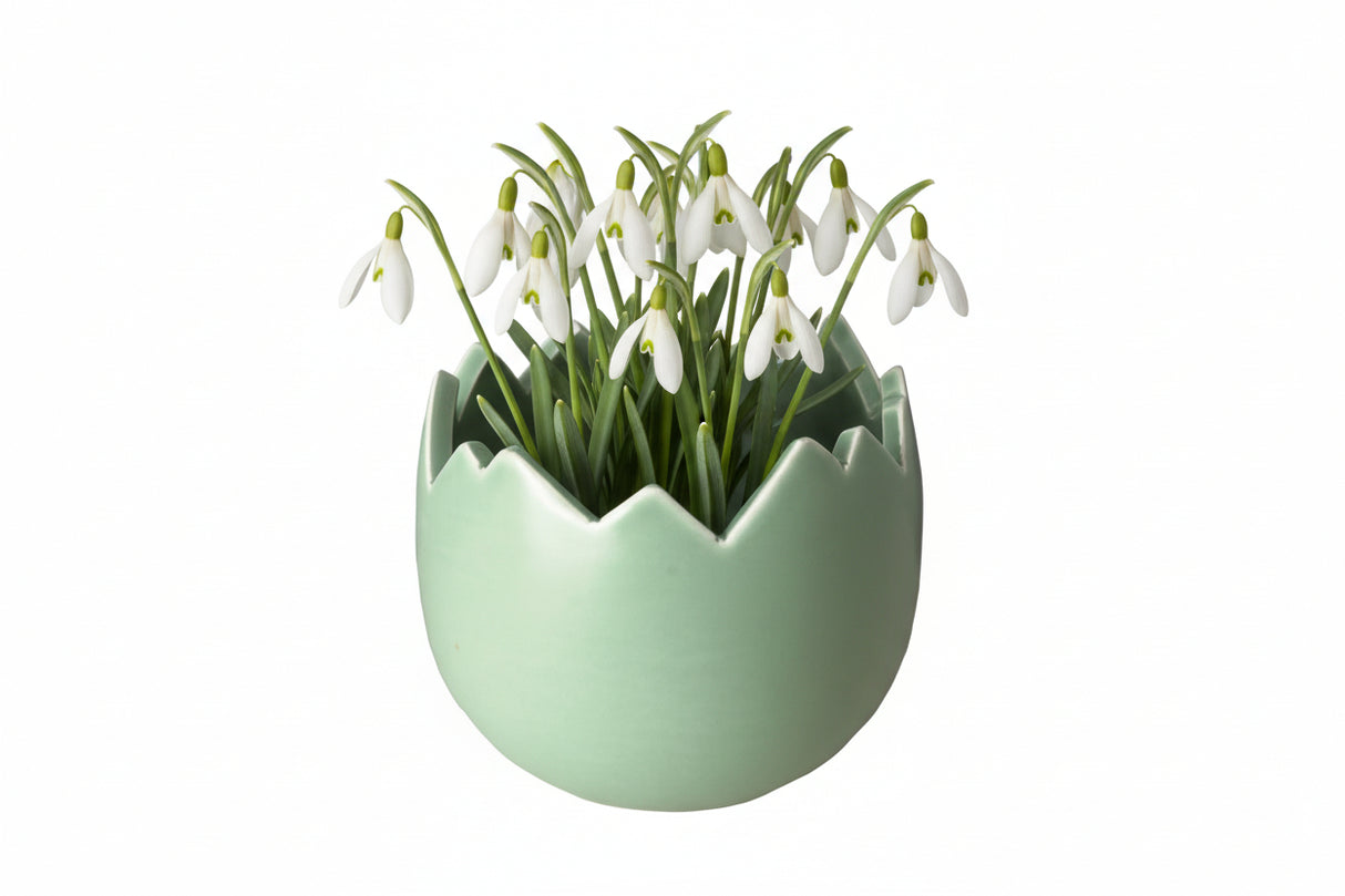 Æggeskal i grønt keramik med vintergækker i