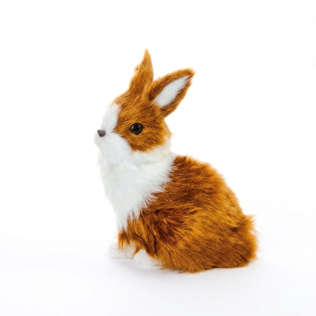 Brown and white bunny