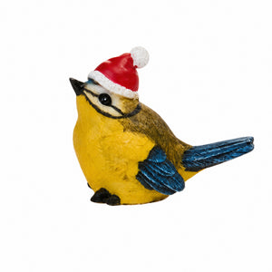 Bird with Santa hat