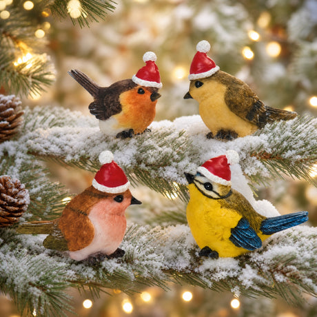 Bird with Santa hat