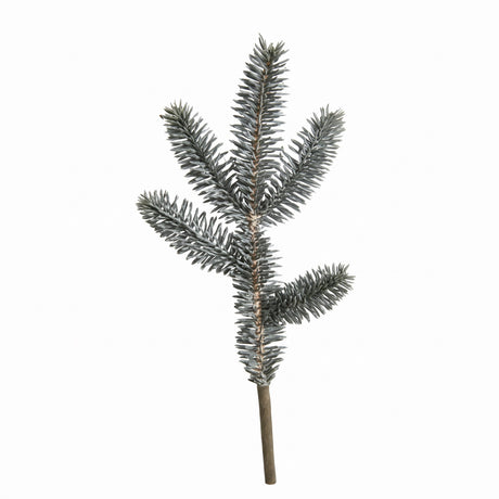 Spruce branches with frost 28 cm long