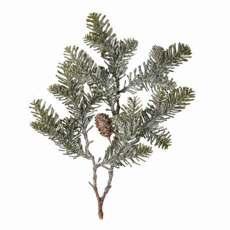 Branch with pine cones and snowflakes