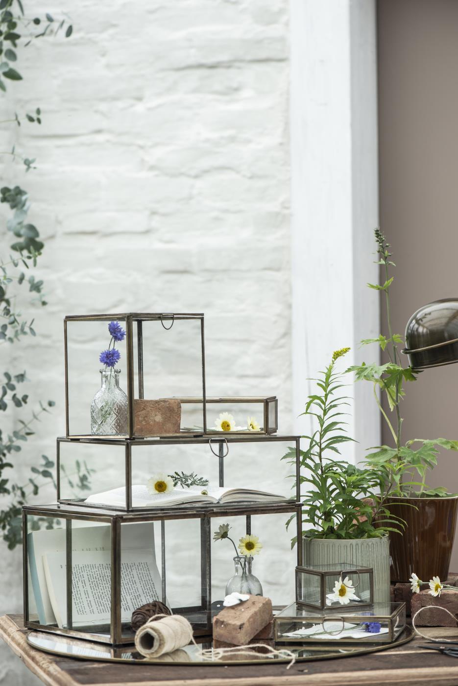Solitaire glass box from Ib Laursen used as decorative storage on a shelf with plants and other home accessories