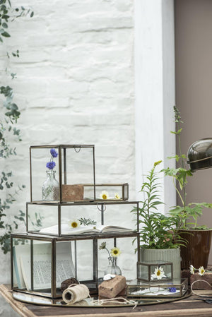 Solitaire glass box from Ib Laursen used as decorative storage on a shelf with plants and other home accessories