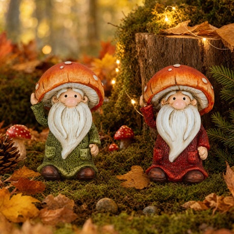Autumn dwarf 12 cm tall