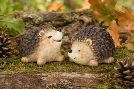Smiling hedgehog