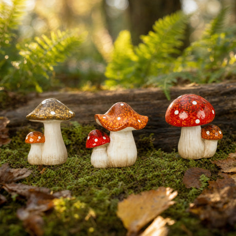 Mushrooms 12 cm tall