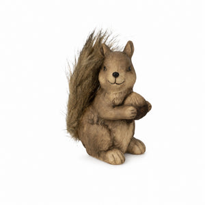 Squirrel with pine cone/acorn