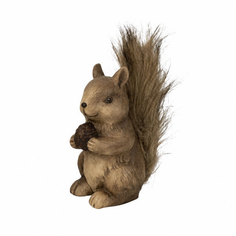 Squirrel with pine cone/acorn
