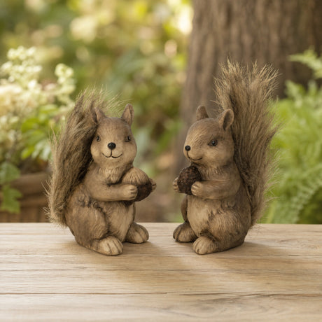 Squirrel with pine cone/acorn