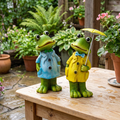 Frog with raincoat