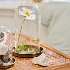 Ib Laursen Glasklokke Bornholm 20 cm med hvid og gul blomst