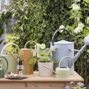 Watering can with spreader 11 l zinc