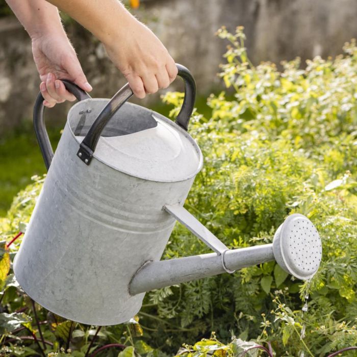 Watering can with spreader 11 l zinc