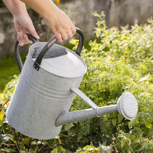 Watering can with spreader 11 l zinc