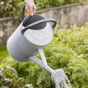 Watering can with spreader 11 l zinc